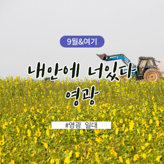 [9월19일] 불갑산 상사화축제&학원농장 - 영광