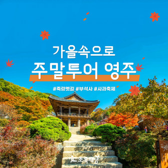 [10월&여기] 가을속으로 주말투어 영주