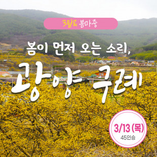 [3월 봄마중] 광양 구례 3월 13일(목)