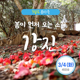 [3월 봄마중] 강진 3월 4일(화)