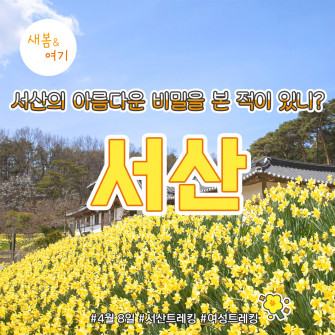 [새봄&여기] 서산 4월 8일(목)