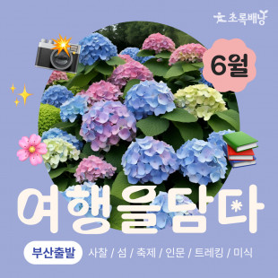 [초록배낭 시그니처] 6월 여행을 담다 | 부산출발